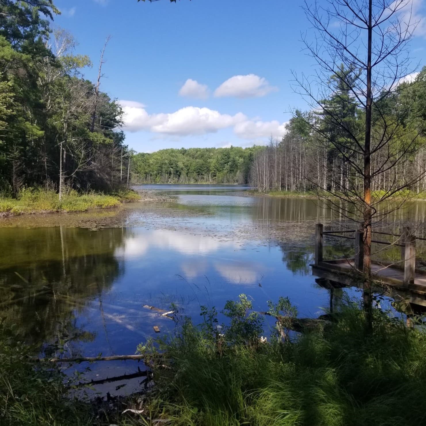 A nice lake photo